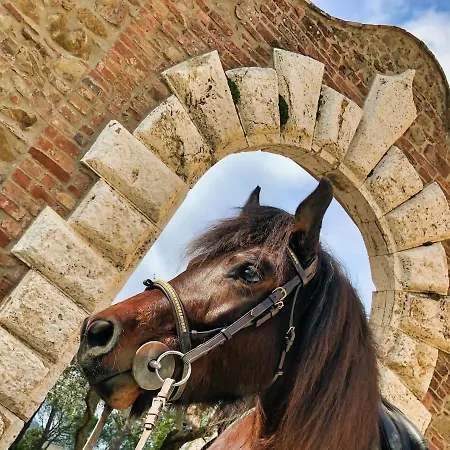 Farm stay Tenuta I Mandorli